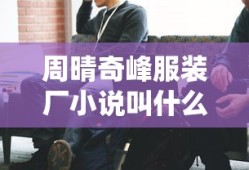 周晴奇峰服装厂小说叫什么名