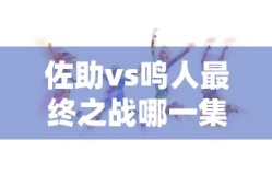 佐助vs鸣人最终之战哪一集