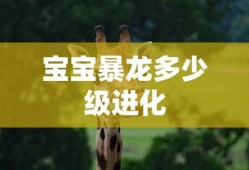 宝宝暴龙多少级进化