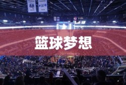 NBA 2K14街球解锁秘籍，实现篮球梦想的大门已开启！