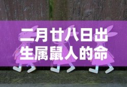 糖豆广场舞2024年最新广场舞搀扶