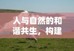 人与自然和谐共生，共创可持续发展未来