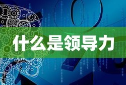 什么是领导力