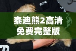 泰迪熊2高清免费完整版在线观看