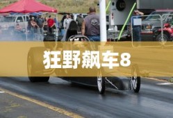 狂野飙车8，极速凌云，狂野飙车8，极速凌云之旅