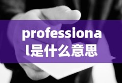 professional是什么意思