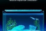 生物收集游戏哪些值得玩 下载量高的生物收集游戏排行榜