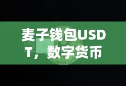 麦子钱包USDT，数字货币时代的便捷之选标题