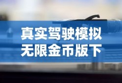 真实驾驶模拟无限金币版下载