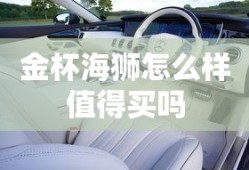 金杯海狮怎么样值得买吗