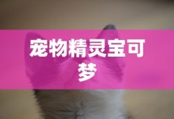 宠物精灵宝可梦