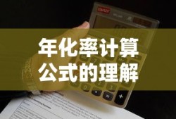 年化率计算公式的理解与应用