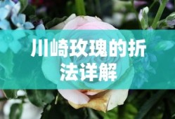 了不起的修仙模拟器金丹品质怎么提升
