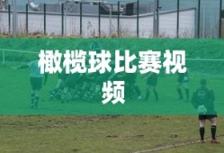 橄榄球比赛视频