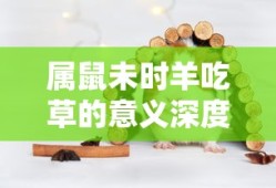 粤语屋 港剧网