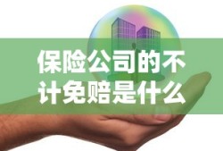 保险公司的不计免赔是什么意思