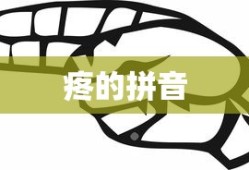 疼的拼音