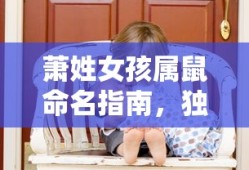 民族区域自治制度的意义与价值