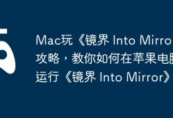 Mac玩《镜界 Into Mirror》攻略，教你如何在苹果电脑上运行《镜界 Into Mirror》！