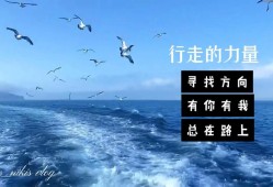 悦走越有，探索行走的力量与价值