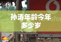 孙涛年龄今年多少岁