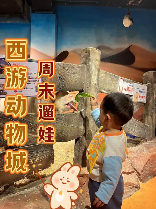 丧尸战争，生存与挑战  第2张