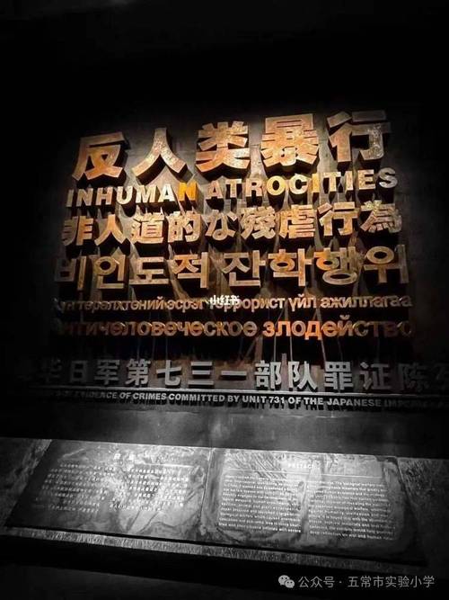泡泡女神，梦幻与现实的交融  第1张
