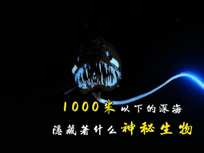 阿卡丽的神秘商店六月惊喜之旅  第2张
