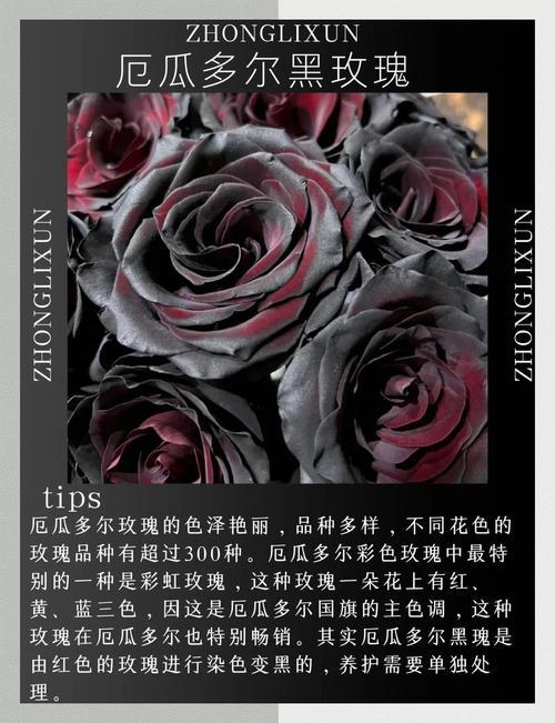 欧美在线 欧美精品  第1张