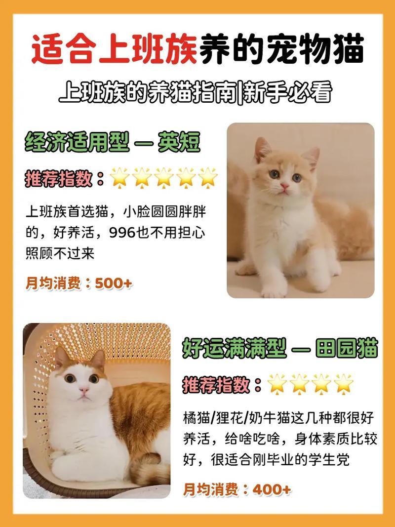 甄嬛传剧情介绍分集  第1张
