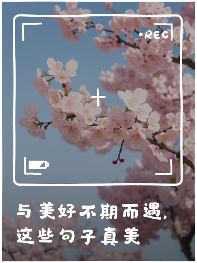 王牌攻略，掌握核心策略，决胜各领域之巅，王牌攻略，掌握核心策略，领域之巅决胜秘籍  第1张