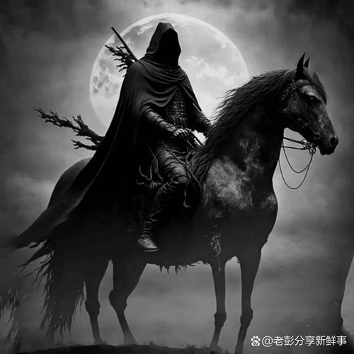 王者骑士，荣耀与传奇的交织  第3张
