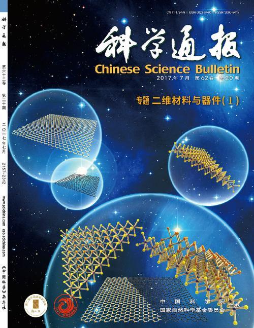 探索BLT,一种多功能技术的无限潜力 第1张 探索BLT,一种多功能技术的无限潜力 第1张