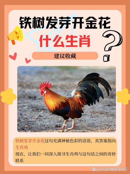 梦幻西游手游钓鱼，乐趣与策略，梦幻西游手游钓鱼，乐趣与策略并存  第1张