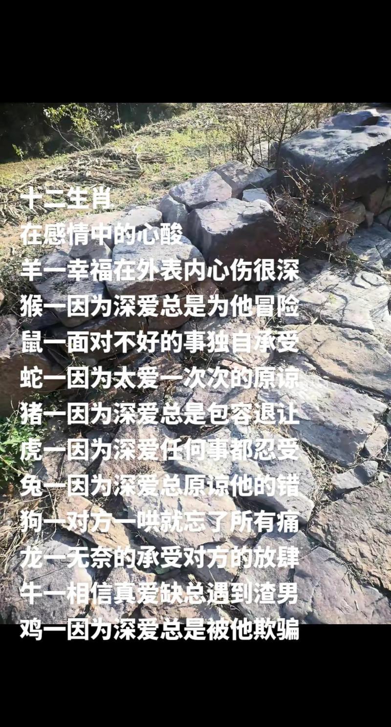松木的力量，自然之美与坚韧精神的融合  第3张