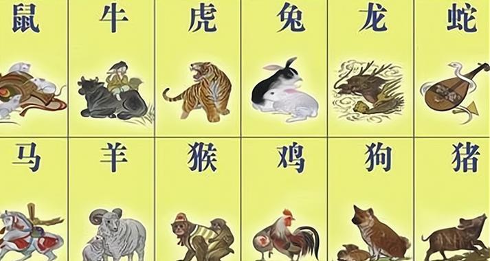 粤语屋tvb港剧网免费观看  第1张