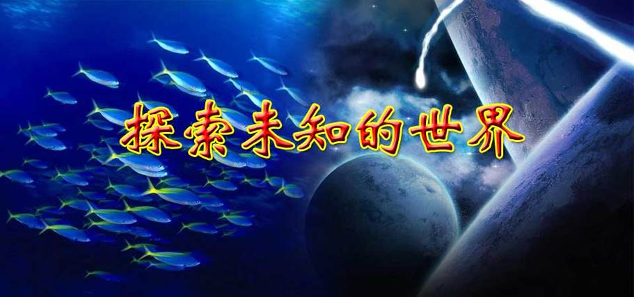 探索未知的领域,走进神秘的11MMM世界 第1张 探索未知的领域,走进神秘的11MMM世界 第1张