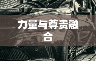 长城炮大力仑现状  第1张