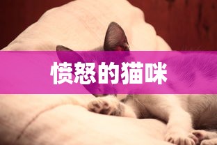 星汉灿烂电视剧免费观看完整版  第1张