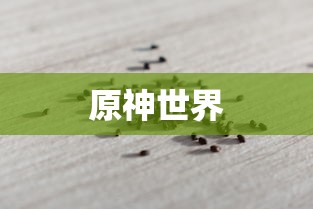 探索原神世界中的蒲公英籽，神秘力量的种子，原神世界中的蒲公英籽，神秘种子的力量探索  第1张