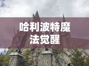 哈利波特魔法觉醒攻略大全，探索霍格沃茨的奥秘，哈利波特魔法觉醒攻略大全，探索霍格沃茨的奥秘与奥秘之门  第1张