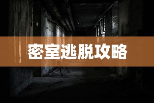 可视角度，探索视觉感知的奥秘  第1张