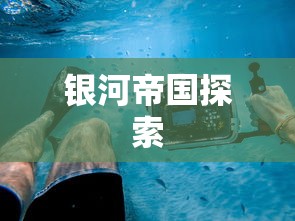 锦衣夜行游戏官网  第1张