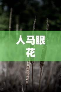 2021款景逸s50  第1张