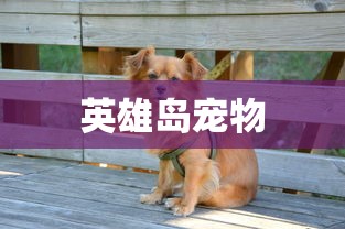 比特币冷钱包转出，安全与便捷的双重考量  第1张