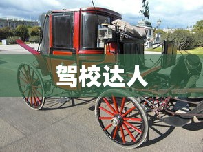 赛尔号朱雀完全体  第1张