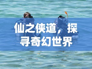 仙之侠道，探寻奇幻世界的奥秘与荣耀，探寻奇幻世界的奥秘与荣耀，仙之侠道之旅  第1张