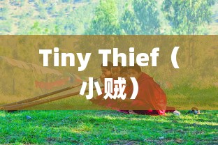 查自己的本命花精灵王  第1张