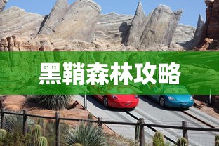 黑鞘森林攻略，探索神秘之地的完全指南，黑鞘森林完全攻略，探索神秘之地的终极指南  第1张