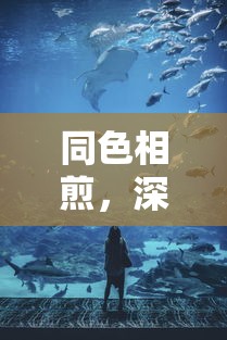 警惕网络诈骗，imToken钱包被骗案例深度解析  第1张